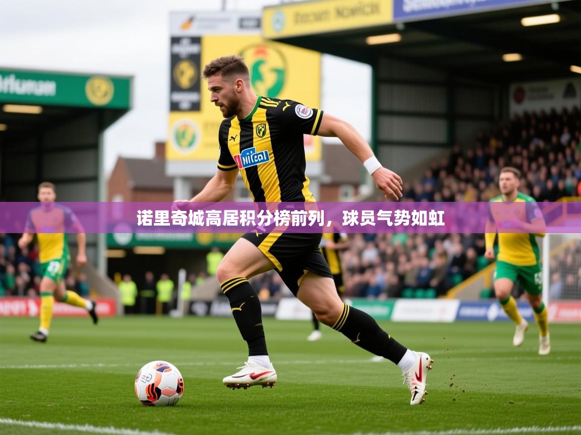 2025九游棋牌娱乐app诺里奇城高居积分榜前列,球员气势如虹 第1张