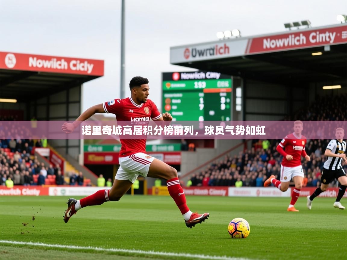 2025九游棋牌娱乐app诺里奇城高居积分榜前列,球员气势如虹 第4张