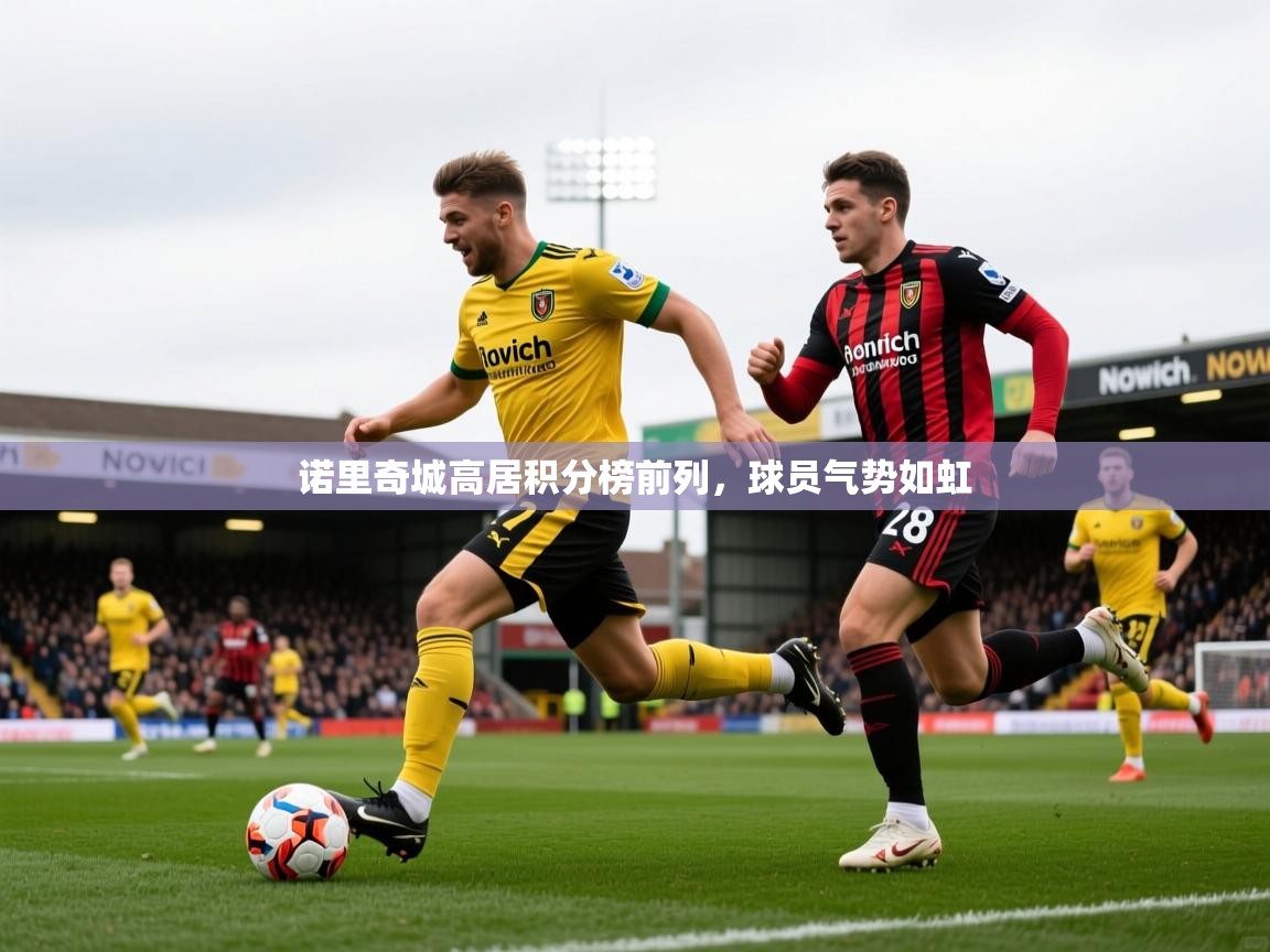 2025九游棋牌娱乐app诺里奇城高居积分榜前列,球员气势如虹 第2张