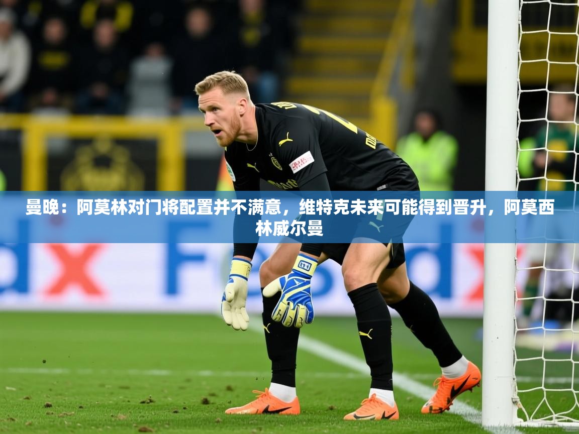 2025九游娱乐app曼晚:阿莫林对门将配置并不满意,维特克未来可能得到晋升,阿莫西林威尔曼 第3张