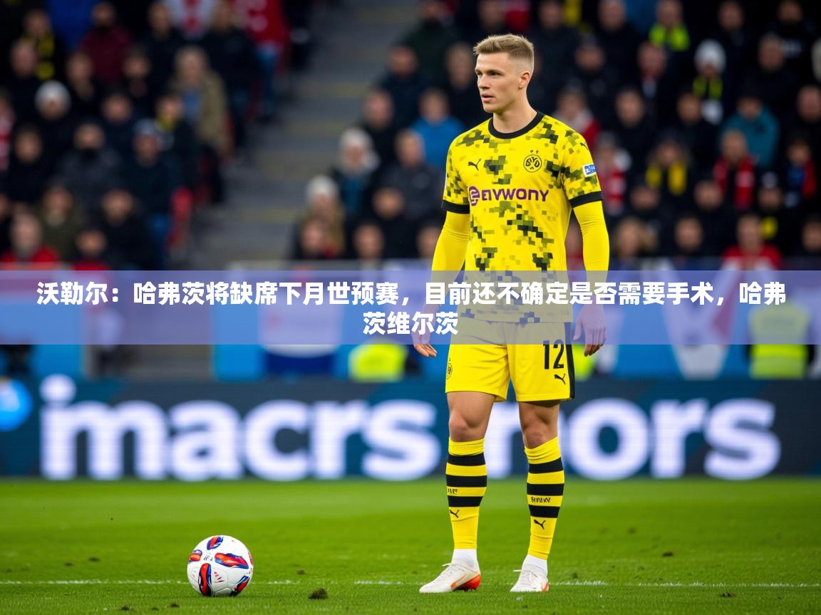 2025九游娱乐网站体验棒沃勒尔:哈弗茨将缺席下月世预赛,目前还不确定是否需要手术,哈弗茨维尔茨