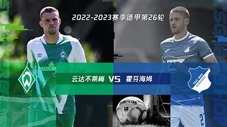 九游娱乐平台官网-挑战者崭露头角，霍芬海姆赢得宝贵三分的简单介绍