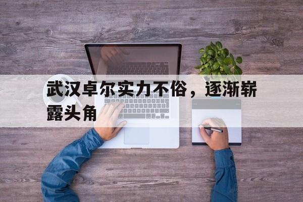 九游真人娱乐-包含武汉卓尔实力不俗，逐渐崭露头角的词条