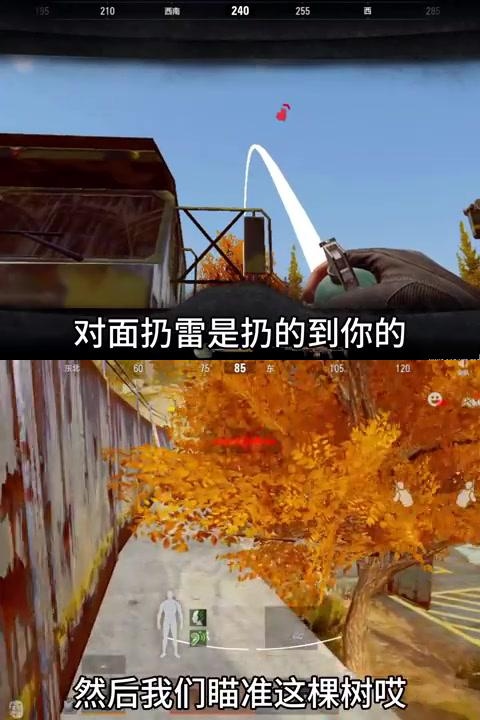 巴勒斯坦叶里高队全力备战，战术布局紧密的简单介绍